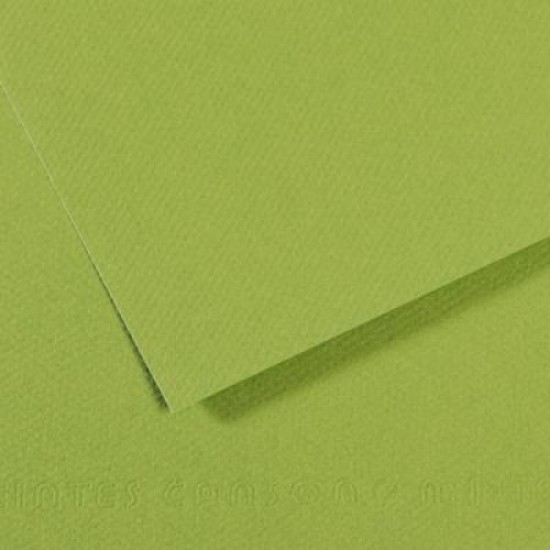 Canson папір для пастелі Mi-Teintes 160 гр, 50x65 см, 475 Apple green (Яблучно-зелений)