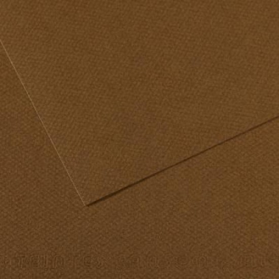 Canson папір для пастелі Mi-Teintes 160 гр, 50x65 см, 501 Tobacco (Тютюновий)