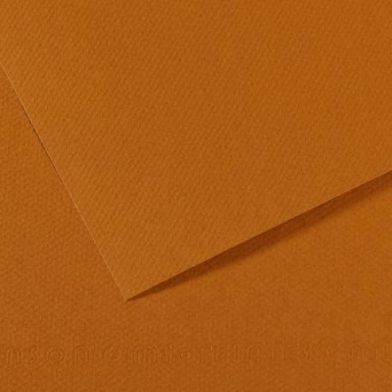 Canson папір для пастелі Mi-Teintes 160 гр, 50x65 см, 502 Bisque (Свiтло-коричневий)