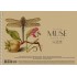 Альбом для малювання, А4/30арк., 150г/м2, крафт, MUSE, PB-SC-030-319