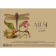 Альбом для малювання, А4/30арк., 150г/м2, крафт, MUSE, PB-SC-030-319 Альбом для малювання, А4/30арк., 150г/м2, крафт, MUSE, PB-SC-030-319