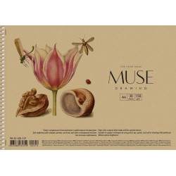 Альбом для малювання, А4/30арк., 150г/м2, крафт, MUSE, PB-SC-030-319