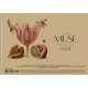 Альбом для малювання, А4/30арк., 150г/м2, крафт, MUSE, PB-SC-030-319 Альбом для малювання, А4/30арк., 150г/м2, крафт, MUSE, PB-SC-030-319