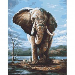 Набір для розпису "Могутня постать" 40*50 см, АrtCraft