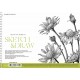 Альбом для ескізів та малювання, А4/50арк., 115г/м2, картон, MUSE, PB-SC-050-316 Альбом для ескізів та малювання, А4/50арк., 115г/м2, картон, MUSE, PB-SC-050-316