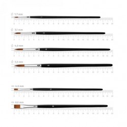 Набір пензлів 5, синтетика, 6шт, кругла (№1,3,4,5), плоска (№4,8), к.р, Arteo