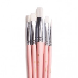 Набір пензлів 5шт, круглий/плоский/ 3шт овальний, рожевий, подарунковий, HIMI