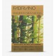 Склейка для мікс медіа BAMBOO, 18х26 см, 280г/м2, 25 л, 90% бамбук, 10% бавовна, Fabriano Склейка для мікс медіа BAMBOO, 18х26 см, 280г/м2, 25 л, 90% бамбук, 10% бавовна, Fabriano