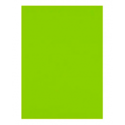17A4-053 Фоамиран EVA 1.7±0.1MM "Салатовый" A4 (21X29.7CM) 17A4-053 Фоамиран EVA 1.7±0.1MM "Салатовый" A4 (21X29.7CM)