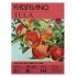 Склейка для олії Tela, 18х24 см, 300 г/м2, 10 л, Fabriano