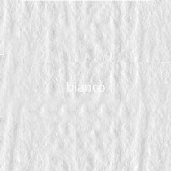 Картон кольоровий для пастелі Elle Erre 00 bianco 70х100 см 220 г/м.кв. Fabriano Італія