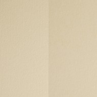 Картон кольоровий для пастелі Elle Erre 01 panna 70х100 см 220 г/м.кв. Fabriano Італія