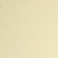 Картон кольоровий для пастелі Elle Erre 17 onice 70х100 см 220 г/м.кв. Fabriano Італія