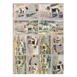 Папір для декупажу, Мисливські собаки, 50*70см