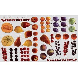 BRICO Бумага для декупажа ФРУКТЫ 33 x 48 см BRICO Бумага для декупажа ФРУКТЫ 33 x 48 см