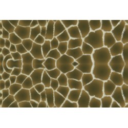 BRICO Бумага для декупажа ШКУРА ЖИРАФА 33 x 48 см BRICO Бумага для декупажа ШКУРА ЖИРАФА 33 x 48 см