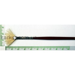 Щетина віялова, 6007, № 0, д.р. пензель KOLOS