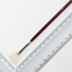 Щетина віялова, 6007, № 2, д.р. пензель KOLOS