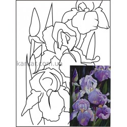 Полотно на картоні з контуром, Натюрморт №10, 30*40, бавовна, акрил, ROSA Talent