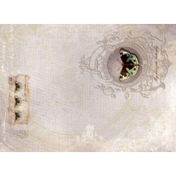 Папір для декупажу, Фаворитка,  30,8*44см, 45г/м2