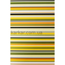 Папір з малюнком "Лінійки", А4 (21х29,7см), Жовто-зелений, 300г/м2, Heyda Папір з малюнком "Лінійки", А4 (21х29,7см), Жовто-зелений, 300г/м2, Heyda