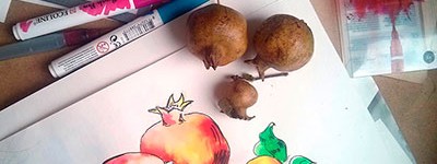 Огляд акварельних маркерів Ecoline Brush Pen, Royal Talens.