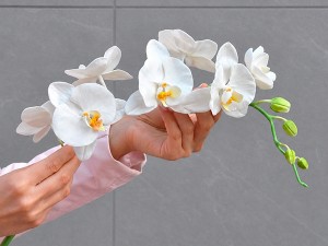 Майстер-класи з ліплення квітів із холодної порцеляни — вересень 2026