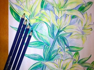 Рисование акварельными карандашами Faber – Castell серии Creative studio. Рисование акварельными карандашами Faber – Castell серии Creative studio.