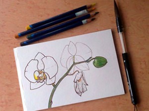 Открытка с орхидеями. Мастер-класс