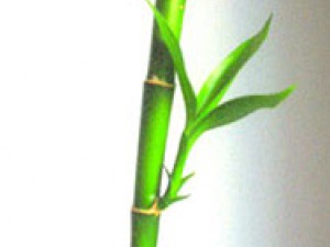 Проста листівка маркерами та чорнильними олівцями