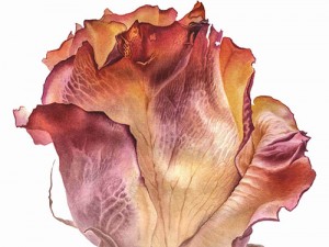 Запрошуємо всіх відвідати виставку ботанічного мистецтва. Запрошуємо всіх відвідати виставку ботанічного мистецтва.